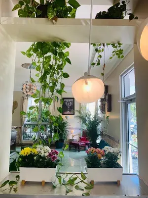 a living room filled with lots of potted plants at Century Hotel in Miami Beach