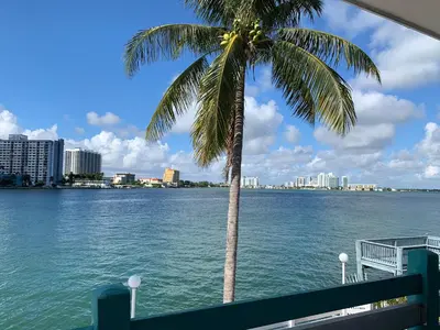 a palm tree sitting next to a body of water at International Inn on the Bay in Miami Beach