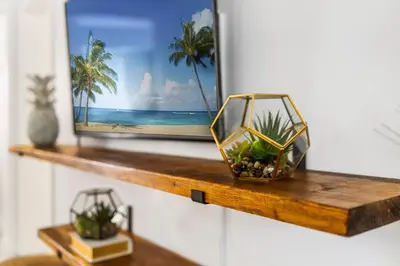 a wooden shelf with two plants in a glass vase at Alani Bay Premium Condos in Fort Lauderdale