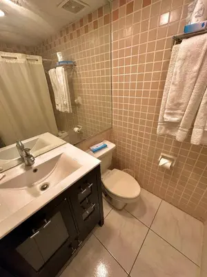 a bathroom with a white toilet and a sink at Hotel Chateaubleau in Miami