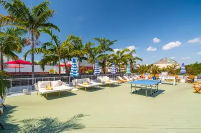 a group of chairs and tables on a beach with palm trees at Catalina Hotel & Beach Club in Miami Beach