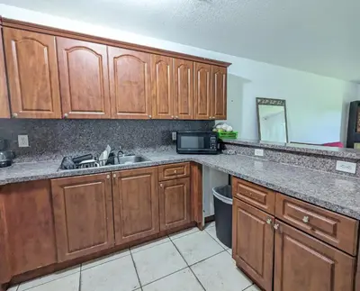 a kitchen with wooden cabinets and a sink at MiLuSol in Miami