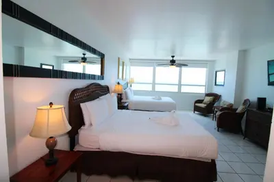 a bedroom with a large bed with a swan on it at Castle 922 in Miami Beach
