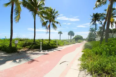 a red brick path with palm trees on the side at Castle 922 in Miami Beach