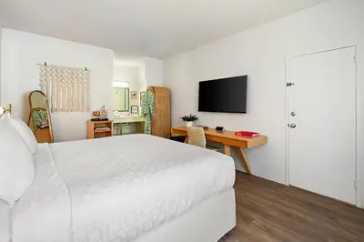 a hotel room with a bed and a desk and a television at Palm Tree Club Miami in Miami Beach