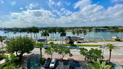a view of a large body of water with palm trees at Seacoast by Miami Ambassadors in Miami Beach