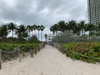 a beach with plants and palm trees and a building at Dream Studio on the Beach in Miami Beach