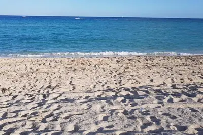 a sandy beach with the ocean in the background at Beautiful Apartment Steps Away from the Beach in Miami Beach