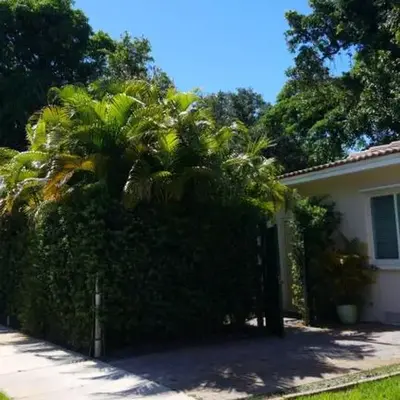 LUXURY Guayabita's House