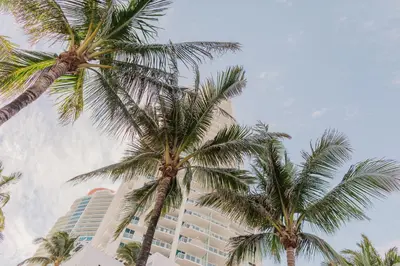two palm trees in front of a building at Rock Apartments by Lowkl in Miami Beach