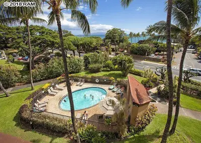 an overhead view of a swimming pool with palm trees at South Maui Condos in Miami Beach
