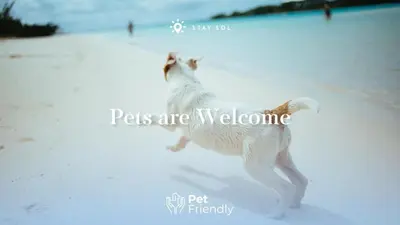 a dog running on the beach in the snow at Most Liked Home - Rooftop Pool - Hollywood Beach - Gym in Hollywood