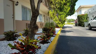 a street with a tree and plants on the side of a building at Parkway Inn in Miami
