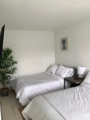 a bedroom with two beds and a potted plant at Hotel Motel Lauderdale Inn in Fort Lauderdale