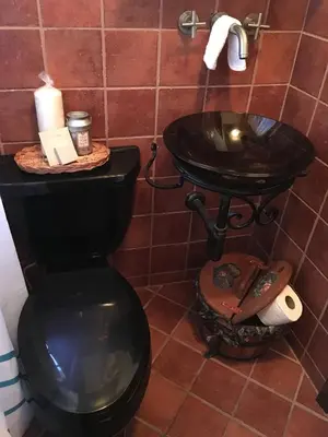 a bathroom with a black toilet and a sink at The Jewel of Little Havana in Miami