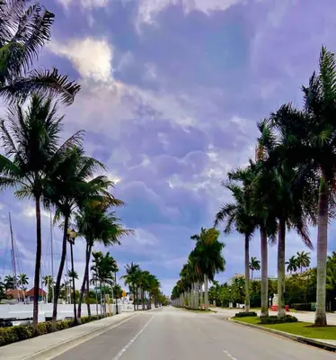 an empty street with palm trees on the side of the road at Efficiency 2 on water Las Olas, beach and free kayaks in Fort Lauderdale