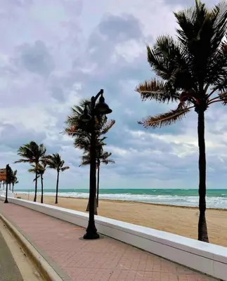 a beach with palm trees and a statue of a surfer at 1BR C direct on the water shared deck Free kayaks in Fort Lauderdale