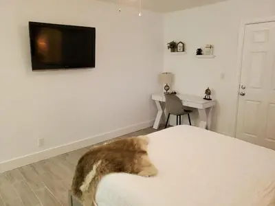 a cat is sitting on the edge of a bed at Stylish & Newly-Renovated Suites near Las Olas in Fort Lauderdale
