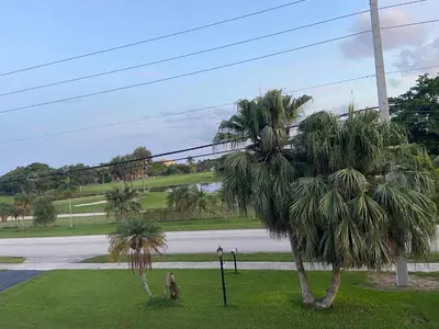 a couple of palm trees next to a road at Spanish Style House - Free Parking in Miami