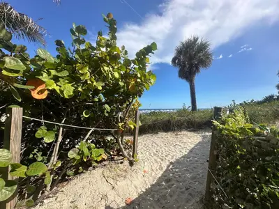 a garden with a palm tree and a fence at Amplio y moderno departamento con acceso directo a la playa in Hollywood
