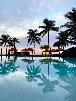 a large swimming pool with palm trees and the ocean at B Ocean Resort Fort Lauderdale Beach in Fort Lauderdale