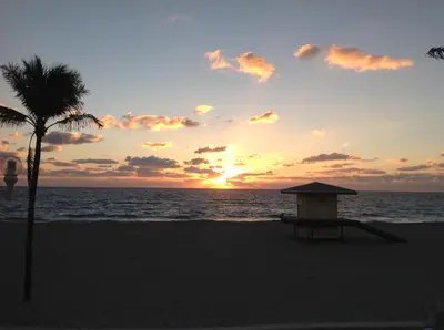 a sunset on the beach with a palm tree at Neptune Oceanfront Rentals in Hollywood