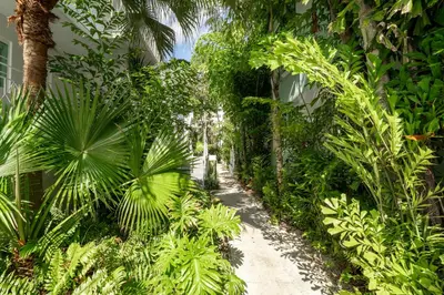 a walking path through a jungle with palm trees at PRAIA Hotel Boutique & Apartments Miami Beach in Miami Beach