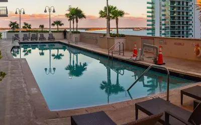 a pool on the roof of a building with palm trees at Luxury 1BD Apt in Downtown Brickell free parking in Miami