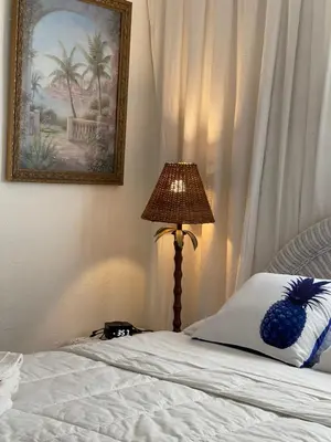 a bedroom with a bed with a lamp and a picture at Habitacion Centrica Calle 8 Miami (2) in Miami