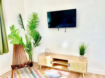 a living room with a tv on a wall with two plants at Enchanting cozy Apartment 10 min away from airport, Calle 8, Brickell, Coral Gables, the beach and more! in Miami
