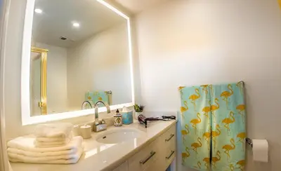 a bathroom with a sink and a shower curtain at Villas at St James Place UNIT F, Luxury, Pet Friendly in Miami