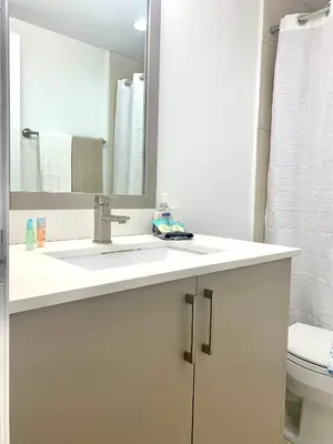 a bathroom with a sink and a mirror and a toilet at Great private room in Miami Beach