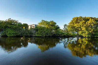 a river with trees and a building in the background at Modern Riverview Apartments in Fort Lauderdale