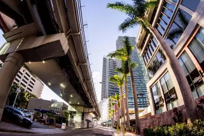 a city street with palm trees and tall buildings at 4BR APT with Bay View at Brickell, Free Parking in Miami
