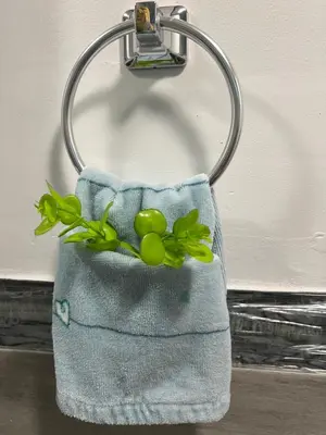 a towel hanging on a wall with green plants in it at Relax 521- at the side in Miami