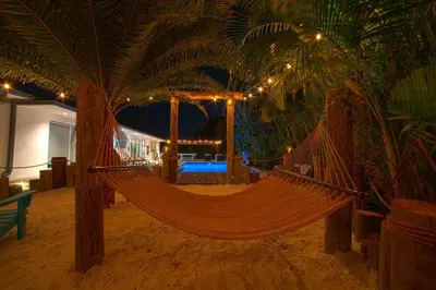 a hammock in a room with palm trees at Heated pool in a Precious House close to Zoo Parks and Arts in Cutler Bay
