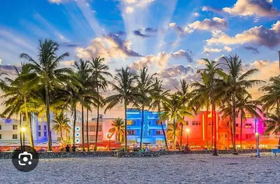 a group of palm trees in front of a building at LYZ Miami Airport in Miami
