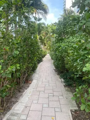 a brick path through a garden with trees at Elegant Miami Beach Apt Ocean Views, Full Kitchen & Style in Hallandale Beach