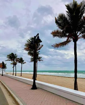 a beach with palm trees and the ocean at Efficiency 3 on water Las Olas beach and free kayaks in Fort Lauderdale