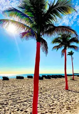 two palm trees on a sandy beach with the ocean at Efficiency 3 on water Las Olas beach and free kayaks in Fort Lauderdale