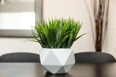 a white vase with a plant on a table at The Guesthouse 1 - Wilton Manors in Fort Lauderdale