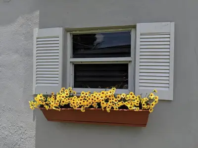 a window box filled with sunflowers in front of a window at 3 Bedroom Miami Home 15 Minutes to the Beach in Miami