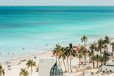 a view of a beach with palm trees and the ocean at Great Location 5BR Heated Pool near Hollywood Beach in Hollywood