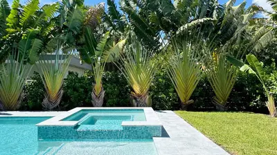 a swimming pool in a yard with palm trees at Topo Encanto - Designer Villa, Sundrenched Paradise! in Fort Lauderdale