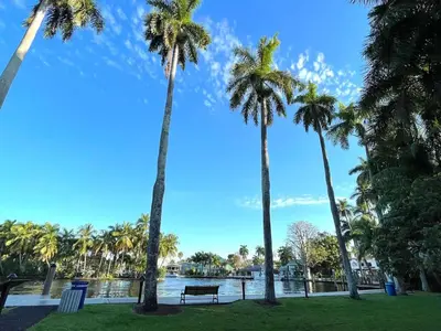 a group of palm trees near a body of water at Topo Encanto - Designer Villa, Sundrenched Paradise! in Fort Lauderdale