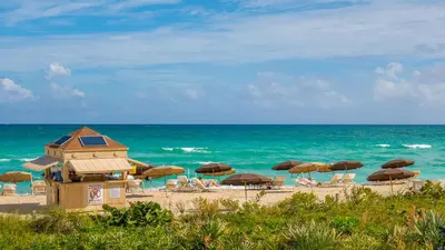 a beach with chairs and umbrellas and the ocean at 1 Bedroom Private Residence at Carillon Miami Resort -911 in Miami Beach