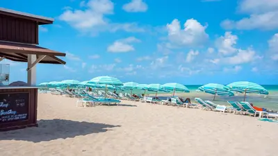 a group of chairs and umbrellas on a beach at 1 Bedroom Private Residence at Carillon Miami Resort -911 in Miami Beach