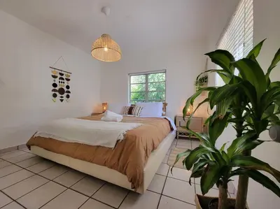 a bedroom with a bed and a potted plant at Tropical Charm Little Havana Calle Ocho 3 in Miami