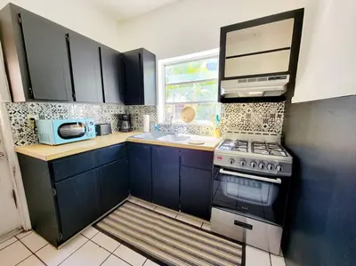 a small kitchen with a stove and a sink at Tropical Charm Little Havana Calle Ocho 3 in Miami