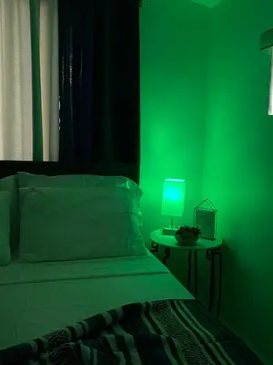 a green bedroom with a bed and a table with a lamp at Beautiful House 7 min from Miami Airport w FREE parking in Miami